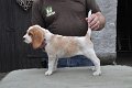 Afb_20120808_Happy (6)